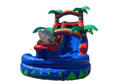 Dolphin Water Slide 12ft x 28ft x 16ft